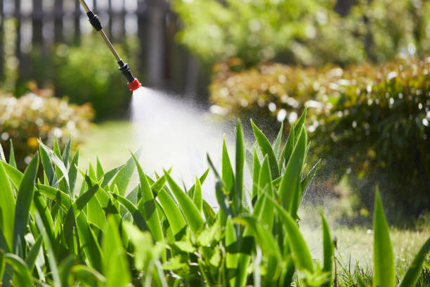 Tamper-Resistant Bait Stations for Rodents in Murphy
