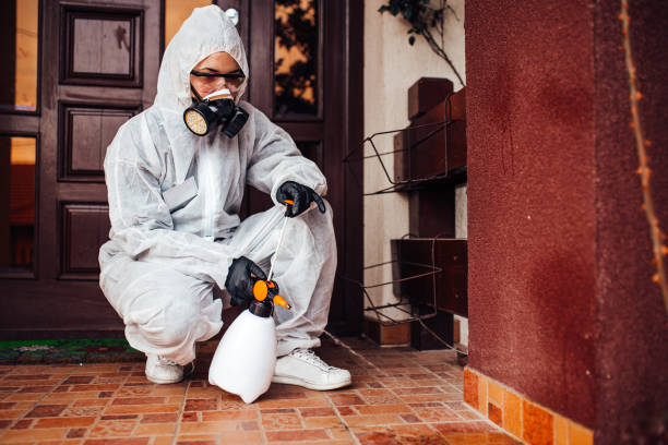 Attic and Crawl Space Rodent Treatment in Murphy