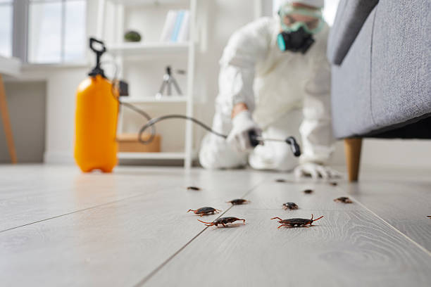 Commercial Rodent Management in Murphy
